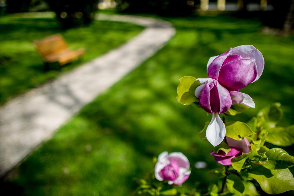 Hotel Batthyany Kuria Zalacsány Exteriér fotografie